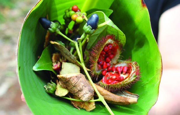 SPICE TOUR: A Journey of the Senses