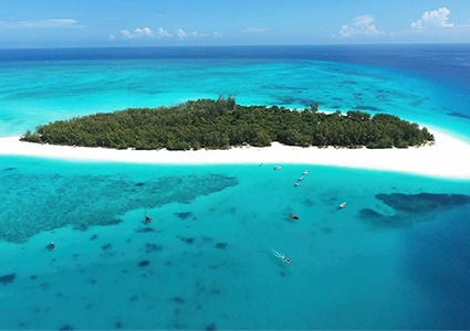 MNEMBA ISLAND SNORKELING: Marine Paradise