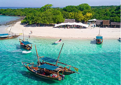SAFARI BLUE:The Ultimate Sea Safari